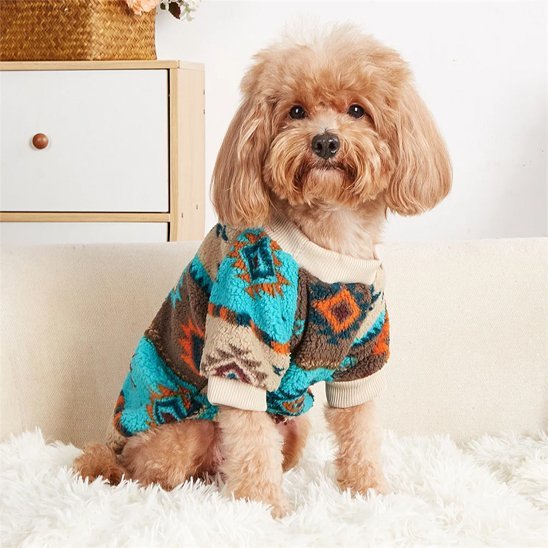 Pull pour chien