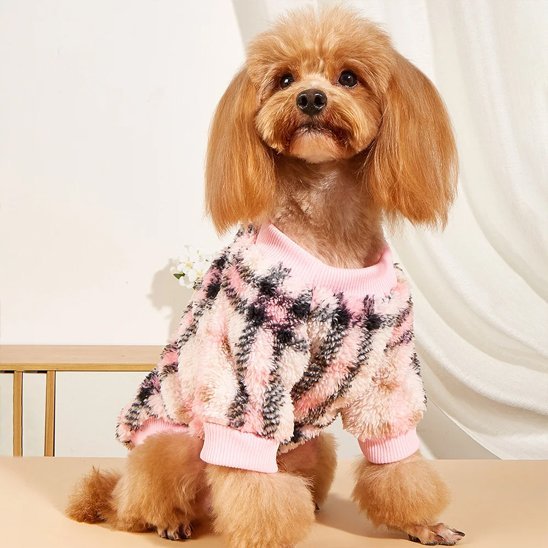 Pull pour chien