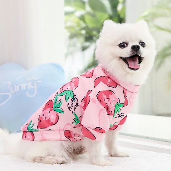 Pull pour chien