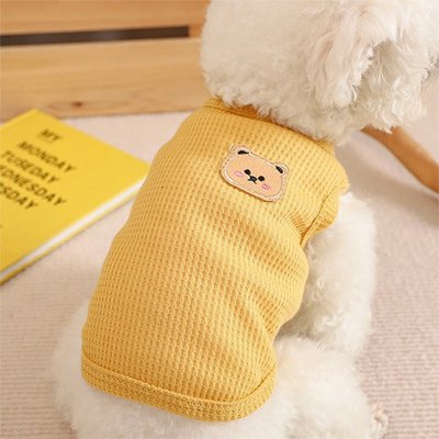 Pull pour Chien