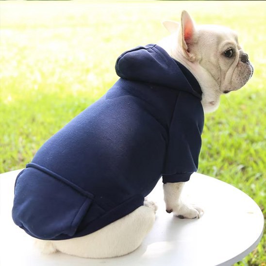Pull pour chien