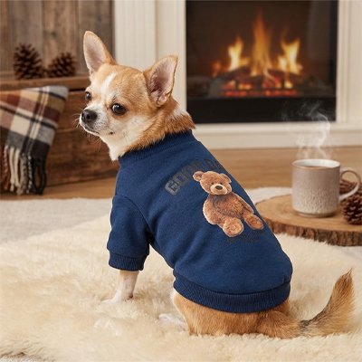 Pull pour Chien 