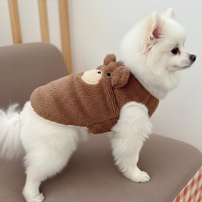 Pull pour Chien 