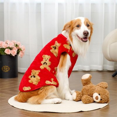 Pull pour Chien 