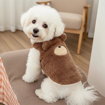 Pull pour Chien 