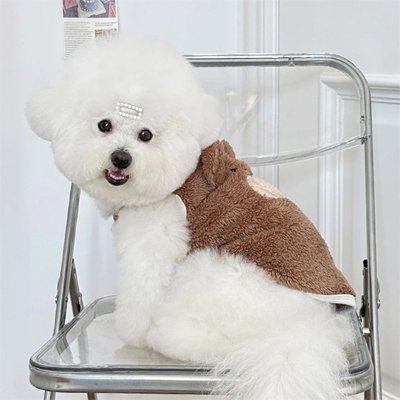 Pull pour Chien 