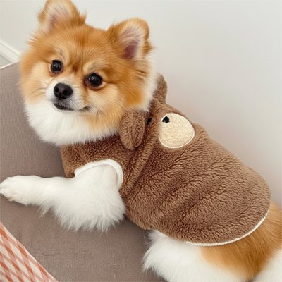 Pull pour Chien 