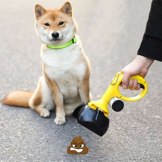 ramasse crottes pour chien