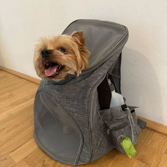 Sac à dos pour chien 