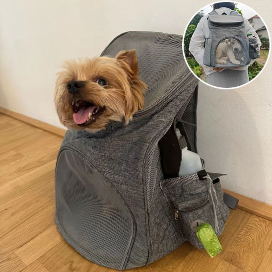 Sac à dos pour chien 