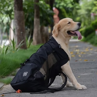 Sac à dos pour Chien
