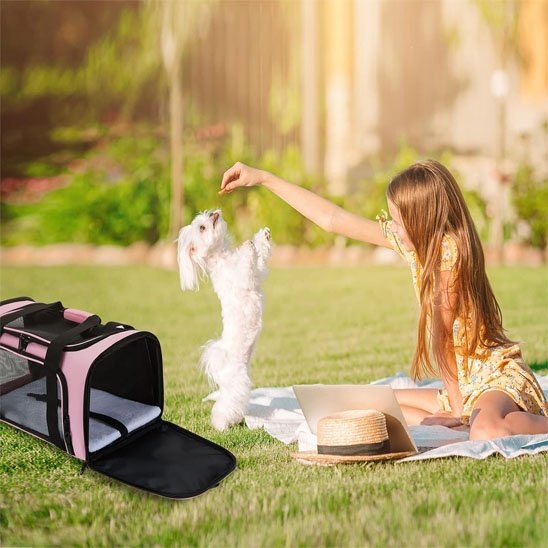 sac de transport chien 