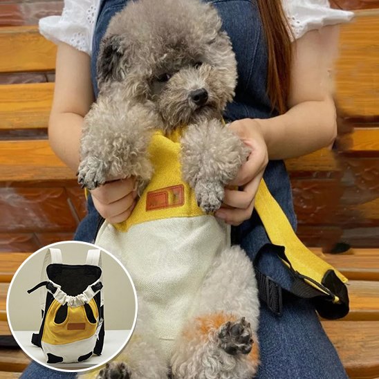 Sac de transport pour chien 